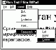  Windows 95  
